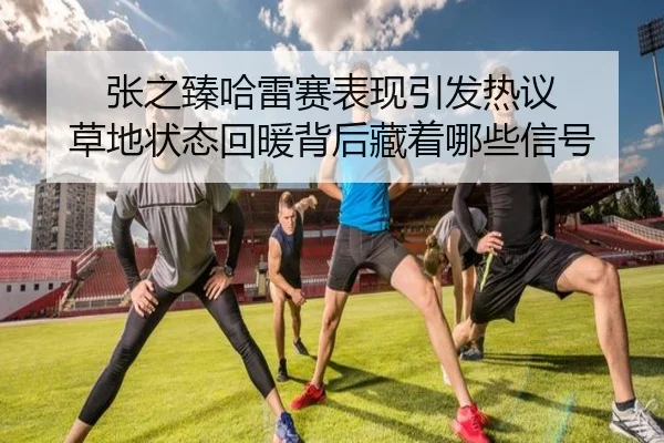 张之臻哈雷赛表现引发热议 草地状态回暖背后藏着哪些信号 - Kaiyuan Games
